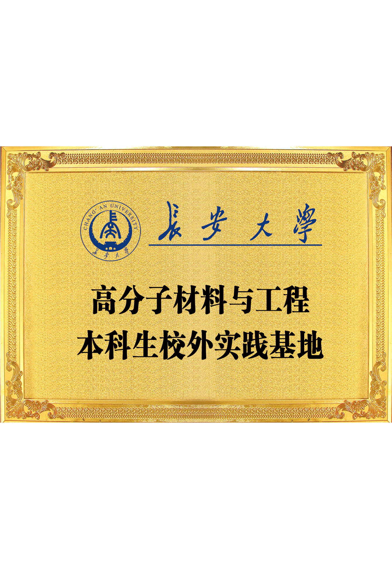 資質(zhì)榮譽(yù)